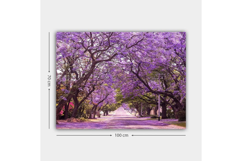 Canvastavla 70x100 cm - Vacker allé med lila blommande träd som skapar en drömlik atmosfär - Lila / Grön - Inredning - Tavlor & posters - Canvastavla