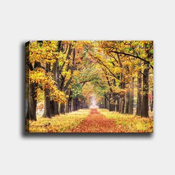 Canvastavla 70x100 cm - Vacker allé omgiven av höstfärgade träd som leder mot en ljusare horisont - Guldorange / Grön / Brun - Inredning - Tavlor & posters - Canvastavla