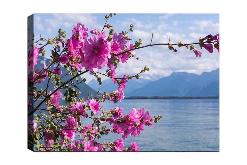 Canvastavla 70x100 cm - Vacker blomstergrupp som sträcker sig över en sjö med berg i bakgrunden - Rosa / Grön - Inredning - Tavlor & posters - Canvastavla