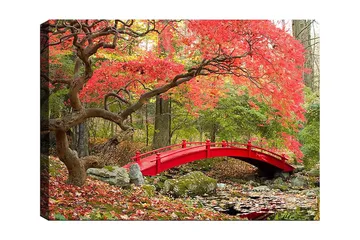 Canvastavla 70x100 cm - Vacker bro i röd färg omgiven av höstfärgade träd och löv - Röd / Grön / Brun - Inredning - Tavlor & posters - Canvastavla