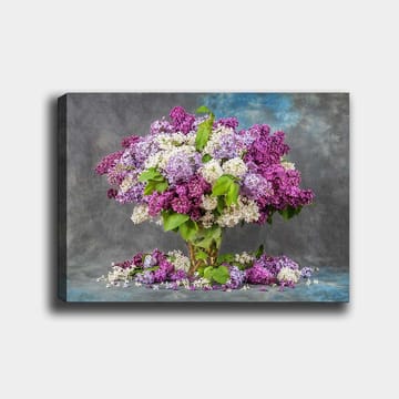 Canvastavla 70x100 cm - Vacker bukett av syrener i olika nyanser av lila och vitt - Lila / Vit / Grön - Inredning - Tavlor & posters - Canvastavla