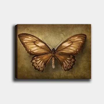 Canvastavla 70x100 cm - Vacker fjäril med detaljerade vingar i bruna och beige nyanser - Brun / Beige - Inredning - Tavlor & posters - Canvastavla