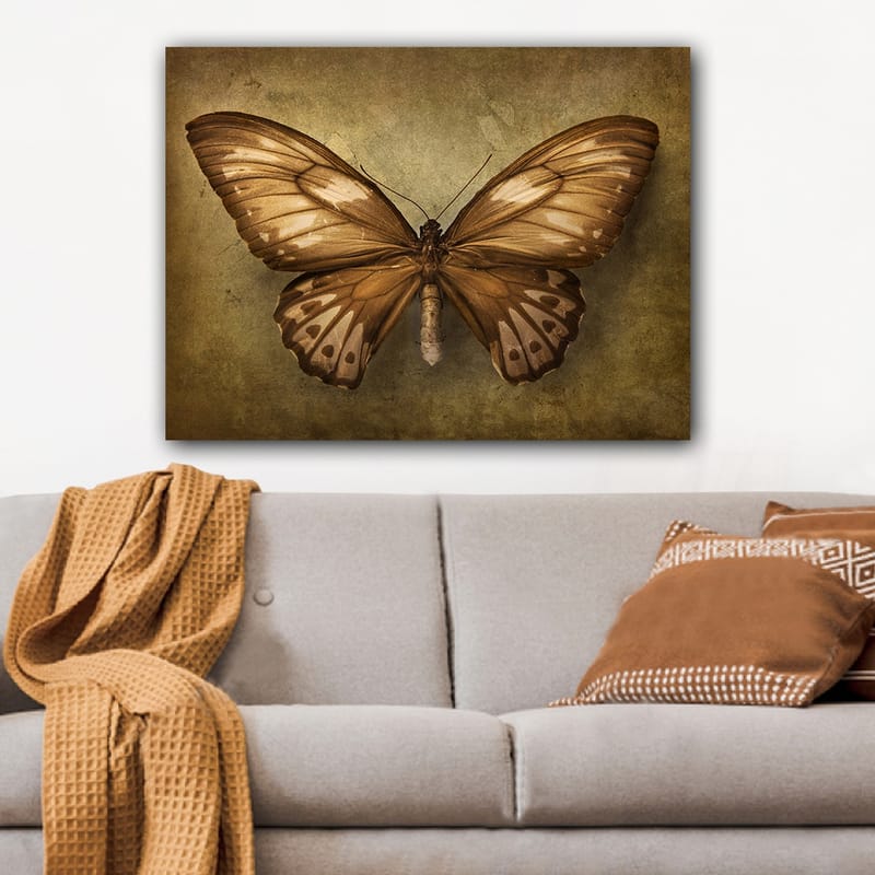 Canvastavla 70x100 cm - Vacker fjäril med detaljerade vingar i bruna och beige nyanser - Brun / Beige - Inredning - Tavlor & posters - Canvastavla