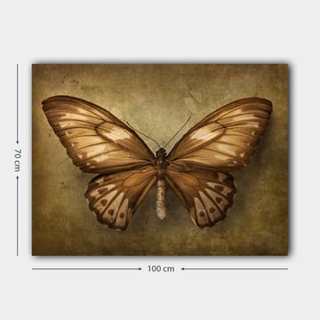 Canvastavla 70x100 cm - Vacker fjäril med detaljerade vingar i bruna och beige nyanser - Brun / Beige - Inredning - Tavlor & posters - Canvastavla