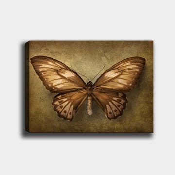 Canvastavla 70x100 cm - Vacker fjäril med detaljerade vingar i bruna och beige nyanser - Brun / Beige - Inredning - Tavlor & posters - Canvastavla