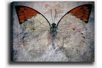 Canvastavla 70x100 cm - Vacker fjäril med orange och vita vingar som framhäver naturens skönhet - Orange / Vit / Grå - Inredning - Tavlor & posters - Canvastavla