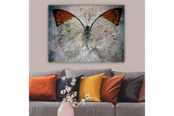 Canvastavla 70x100 cm - Vacker fjäril med orange och vita vingar som framhäver naturens skönhet - Orange / Vit / Grå - Inredning - Tavlor & posters - Canvastavla