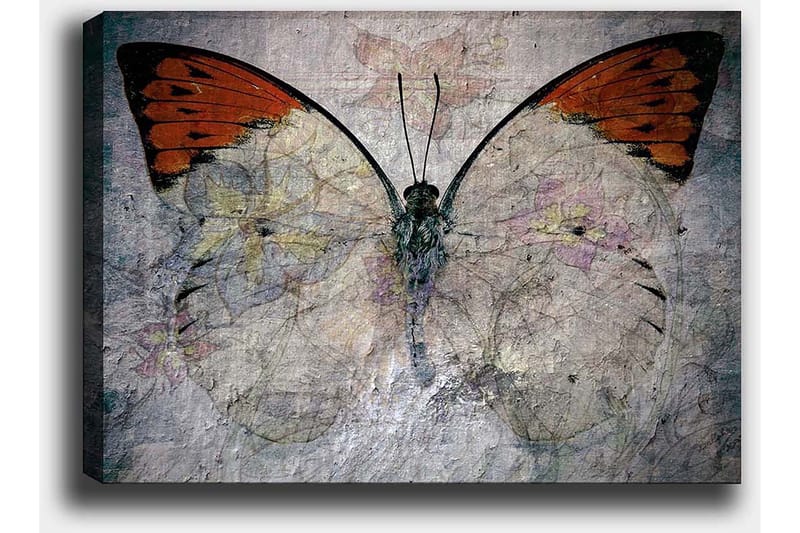Canvastavla 70x100 cm - Vacker fjäril med orange och vita vingar som framhäver naturens skönhet - Orange / Vit / Grå - Inredning - Tavlor & posters - Canvastavla