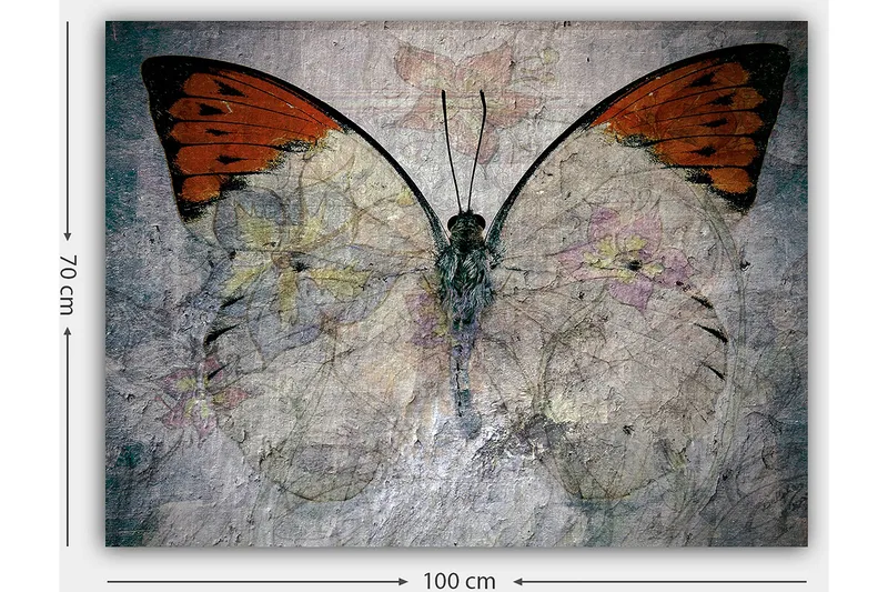 Canvastavla 70x100 cm - Vacker fjäril med orange och vita vingar som framhäver naturens skönhet - Orange / Vit / Grå - Inredning - Tavlor & posters - Canvastavla