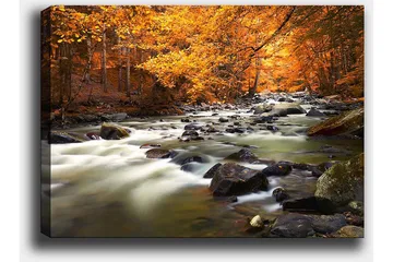 Canvastavla 70x100 cm - Vacker höstlandskap med en porlande bäck omgiven av gyllene och orange lövverk - Gyllene / Orange / Grön - Inredning - Tavlor & posters - Canvastavla