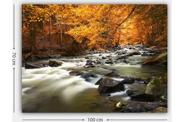 Canvastavla 70x100 cm - Vacker höstlandskap med en porlande bäck omgiven av gyllene och orange lövverk - Gyllene / Orange / Grön - Inredning - Tavlor & posters - Canvastavla