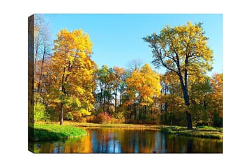 Canvastavla 70x100 cm - Vacker höstlandskap med färgglada träd och en spegelblanka sjö - Guldgul / Grön / Blå - Inredning - Tavlor & posters - Canvastavla