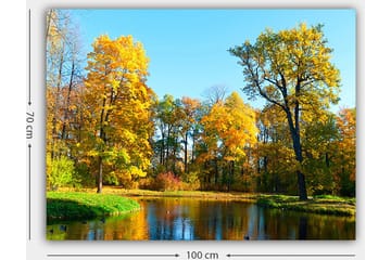 Canvastavla 70x100 cm - Vacker höstlandskap med färgglada träd och en spegelblanka sjö - Guldgul / Grön / Blå - Inredning - Tavlor & posters - Canvastavla