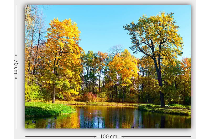 Canvastavla 70x100 cm - Vacker höstlandskap med färgglada träd och en spegelblanka sjö - Guldgul / Grön / Blå - Inredning - Tavlor & posters - Canvastavla