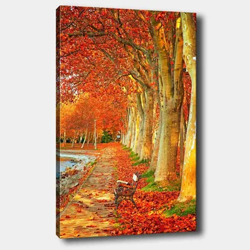 Canvastavla 70x100 cm - Vacker höstscen med en bänk längs en allé av träd med sprakande röda och orange löv - Röd / Orange / Gul - Inredning - Tavlor & posters - Canvastavla