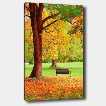 Canvastavla 70x100 cm - Vacker höstscen med en bänk under ett färgsprakande träd - Guldgul / Orange / Brun - Inredning - Tavlor & posters - Canvastavla