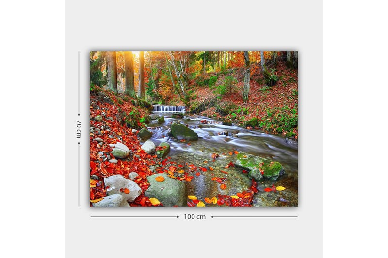 Canvastavla 70x100 cm - Vacker höstscen med en porlande bäck omgiven av färgglada höstlöv - Röd / Grön / Brun - Inredning - Tavlor & posters - Canvastavla