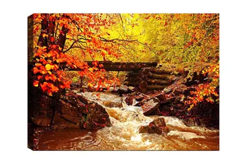 Canvastavla 70x100 cm - Vacker höstscen med en porlande bäck omgiven av färgglada träd och löv i varma nyanser - Orange / Gult / Brunt - Inredning - Tavlor & posters - Canvastavla