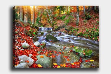 Canvastavla 70x100 cm - Vacker höstscen med en porlande bäck omgiven av färgglada höstlöv - Röd / Grön / Brun - Inredning - Tavlor & posters - Canvastavla