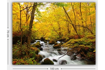 Canvastavla 70x100 cm - Vacker höstscen med ett porlande vattendrag omgiven av gyllene och röda träd - Guldgul / Mörkgrön / Röd - Inredning - Tavlor & posters - Canvastavla