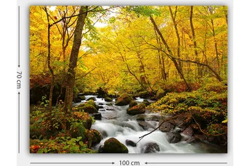 Canvastavla 70x100 cm - Vacker höstscen med ett porlande vattendrag omgiven av gyllene och röda träd - Guldgul / Mörkgrön / Röd - Inredning - Tavlor & posters - Canvastavla