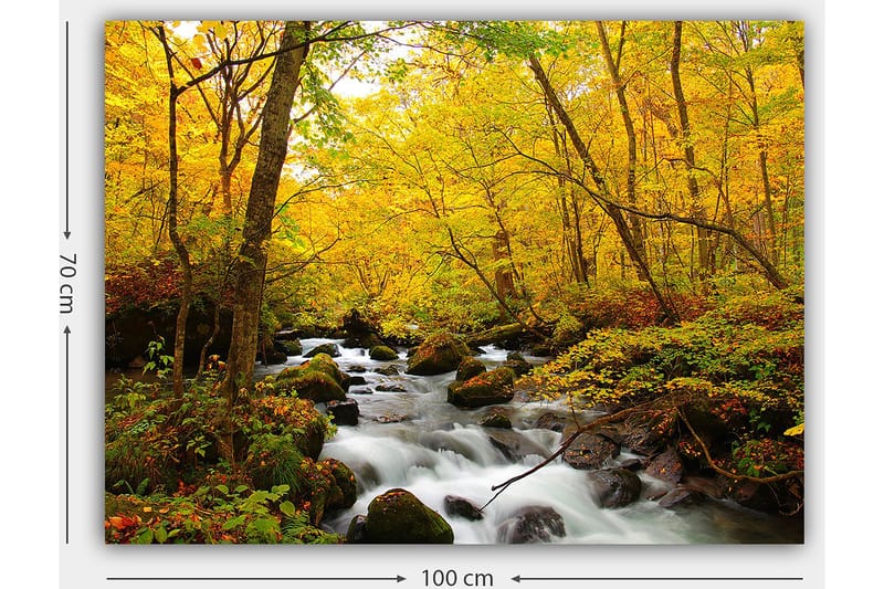 Canvastavla 70x100 cm - Vacker höstscen med ett porlande vattendrag omgiven av gyllene och röda träd - Guldgul / Mörkgrön / Röd - Inredning - Tavlor & posters - Canvastavla