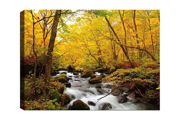 Canvastavla 70x100 cm - Vacker höstscen med ett porlande vattendrag omgiven av gyllene och röda träd - Guldgul / Mörkgrön / Röd - Inredning - Tavlor & posters - Canvastavla