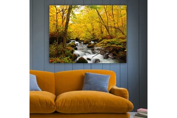 Canvastavla 70x100 cm - Vacker höstscen med ett porlande vattendrag omgiven av gyllene och röda träd - Guldgul / Mörkgrön / Röd - Inredning - Tavlor & posters - Canvastavla