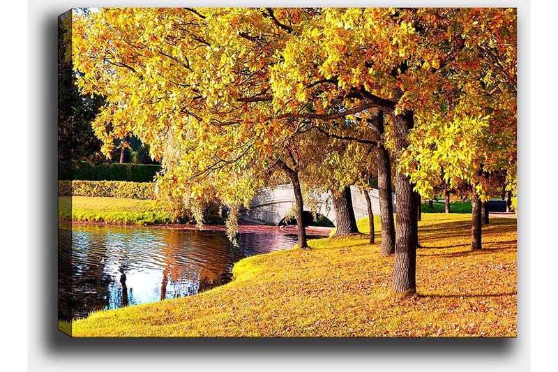 Canvastavla 70x100 cm - Vacker höstscen med gyllene träd som speglar sig i en stilla sjö - Guld / Grön / Brun - Inredning - Tavlor & posters - Canvastavla