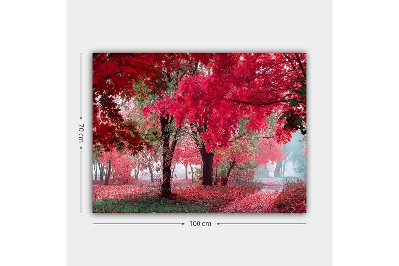 Canvastavla 70x100 cm - Vacker höstscen med röda och orangea löv som täcker träden och marken - Röd / Orange / Grön - Inredning - Tavlor & posters - Canvastavla
