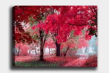 Canvastavla 70x100 cm - Vacker höstscen med röda och orangea löv som täcker träden och marken - Röd / Orange / Grön - Inredning - Tavlor & posters - Canvastavla