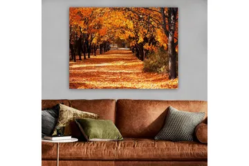 Canvastavla 70x100 cm - Vacker höstscen med träd i starka orangea och gula nyanser som skapar en inbjudande gångväg täckt av fallna löv - Orange / Gult / Brunt - Inredning - Tavlor & posters - Canvastavla