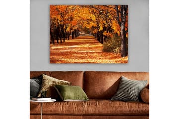 Canvastavla 70x100 cm - Vacker höstscen med träd i starka orangea och gula nyanser som skapar en inbjudande gångväg täckt av fallna löv - Orange / Gult / Brunt - Inredning - Tavlor & posters - Canvastavla