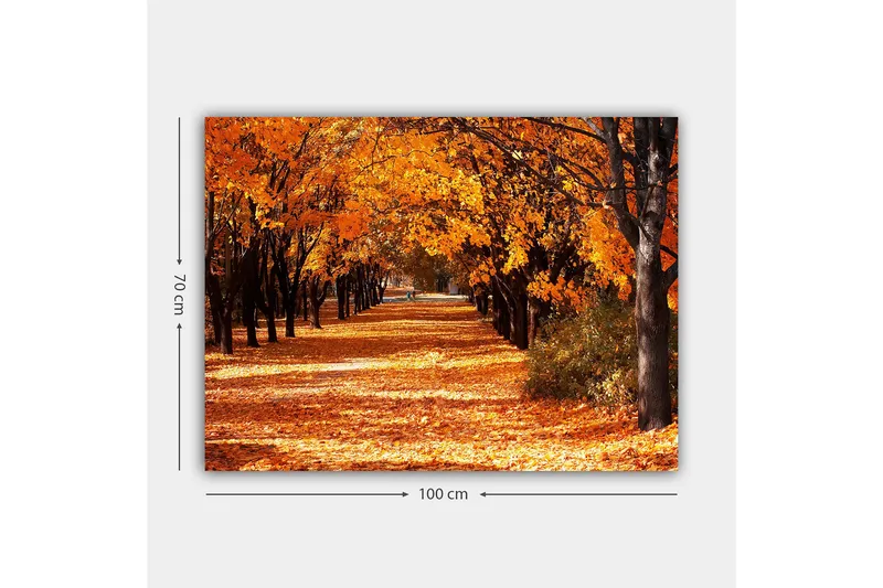 Canvastavla 70x100 cm - Vacker höstscen med träd i starka orangea och gula nyanser som skapar en inbjudande gångväg täckt av fallna löv - Orange / Gult / Brunt - Inredning - Tavlor & posters - Canvastavla