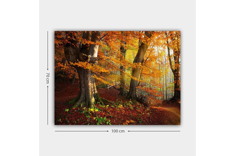 Canvastavla 70x100 cm - Vacker höstskog med färgglada träd och fallna löv - Orange / Röd / Brun - Inredning - Tavlor & posters - Canvastavla