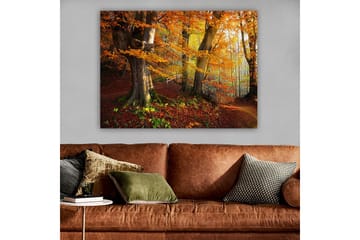 Canvastavla 70x100 cm - Vacker höstskog med färgglada träd och fallna löv - Orange / Röd / Brun - Inredning - Tavlor & posters - Canvastavla