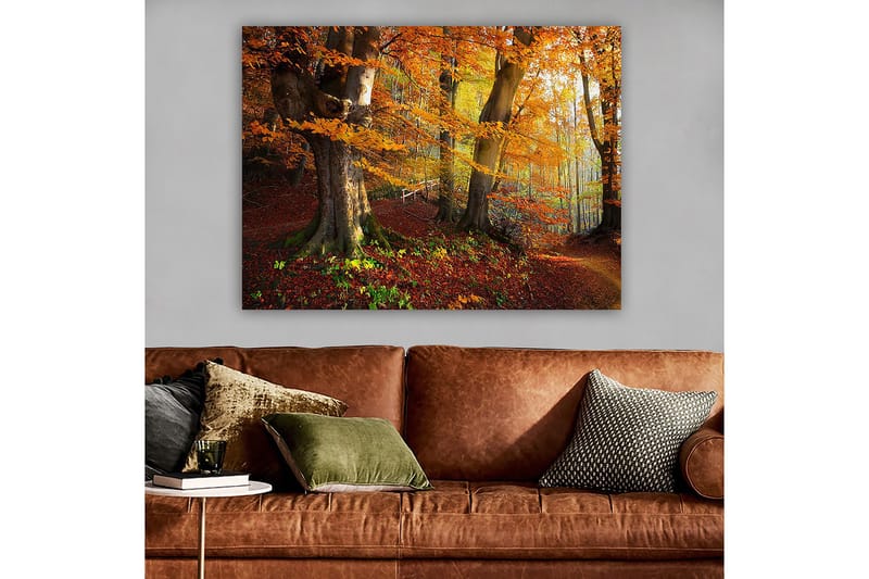 Canvastavla 70x100 cm - Vacker höstskog med färgglada träd och fallna löv - Orange / Röd / Brun - Inredning - Tavlor & posters - Canvastavla
