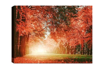 Canvastavla 70x100 cm - Vacker höstskog med strålande orangea och röda löv som skapar en varm och inbjudande atmosfär - Orange / Röd / Grön - Inredning - Tavlor & posters - Canvastavla