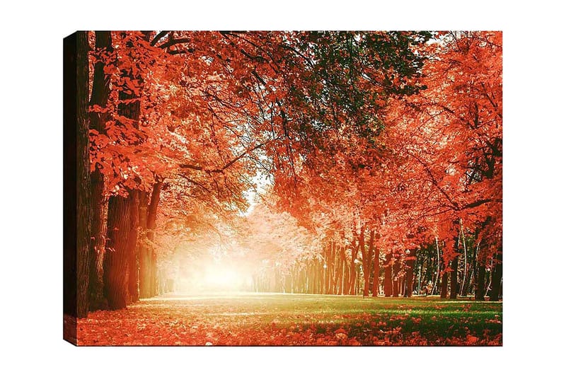 Canvastavla 70x100 cm - Vacker höstskog med strålande orangea och röda löv som skapar en varm och inbjudande atmosfär, Orange / Röd / Grön