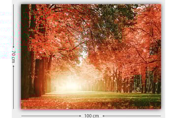 Canvastavla 70x100 cm - Vacker höstskog med strålande orangea och röda löv som skapar en varm och inbjudande atmosfär - Orange / Röd / Grön - Inredning - Tavlor & posters - Canvastavla