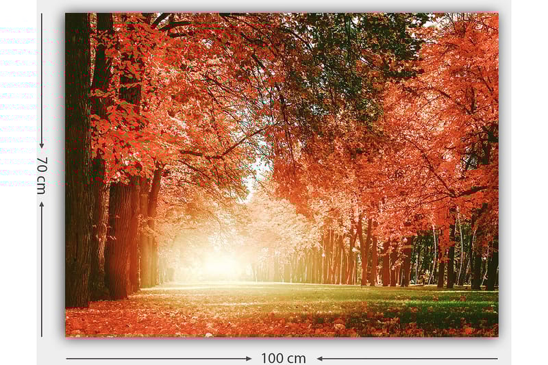 Canvastavla 70x100 cm - Vacker höstskog med strålande orangea och röda löv som skapar en varm och inbjudande atmosfär - Orange / Röd / Grön - Inredning - Tavlor & posters - Canvastavla