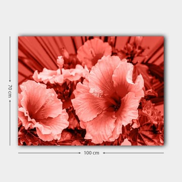 Canvastavla 70x100 cm - Vacker komposition av hibiskusblommor i olika nyanser av röd färg - Röd / Ljusrosa - Inredning - Tavlor & posters - Canvastavla