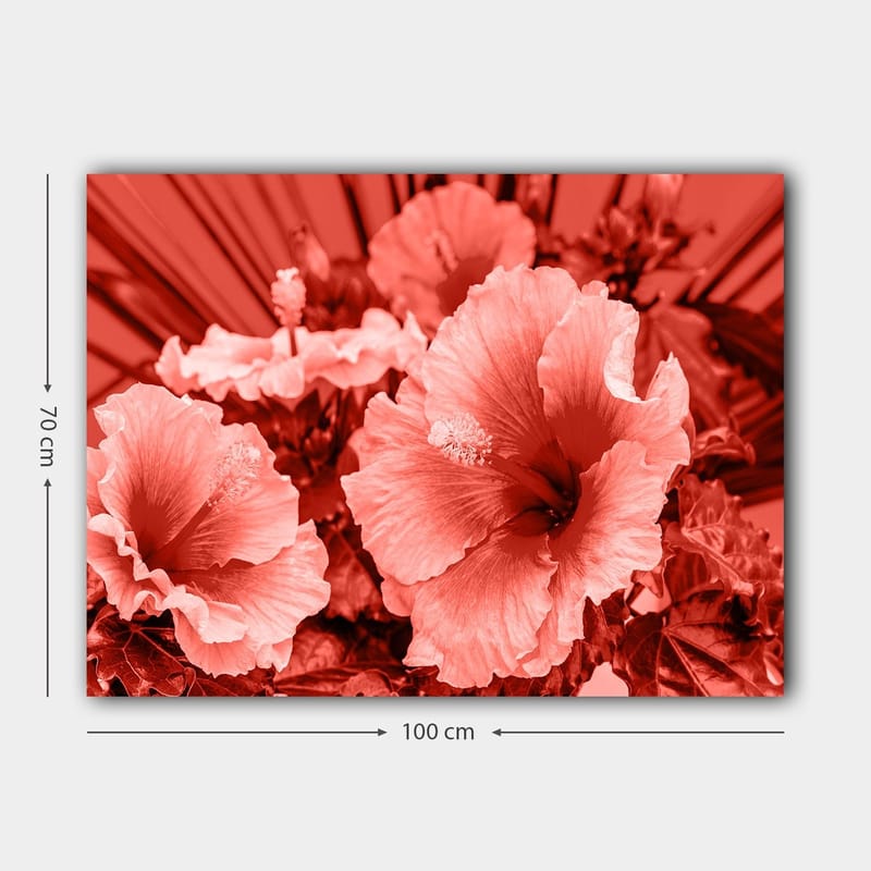 Canvastavla 70x100 cm - Vacker komposition av hibiskusblommor i olika nyanser av röd färg - Röd / Ljusrosa - Inredning - Tavlor & posters - Canvastavla