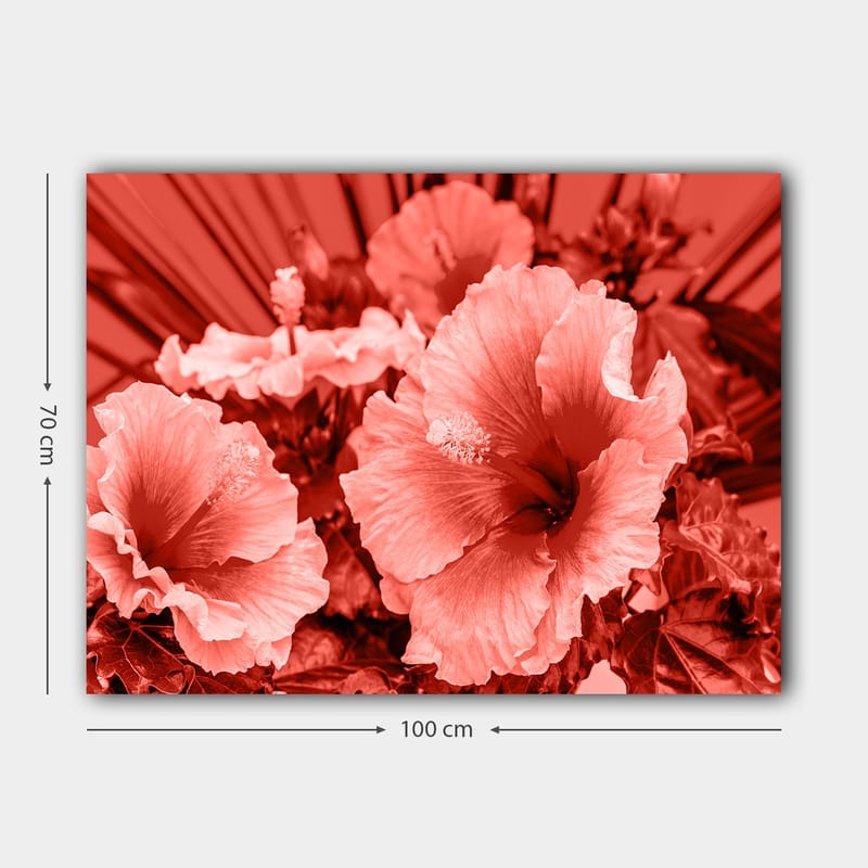 Canvastavla 70x100 cm - Vacker komposition av hibiskusblommor i olika nyanser av röd färg - Röd / Ljusrosa - Inredning - Tavlor & posters - Canvastavla