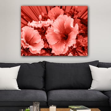 Canvastavla 70x100 cm - Vacker komposition av hibiskusblommor i olika nyanser av röd färg - Röd / Ljusrosa - Inredning - Tavlor & posters - Canvastavla