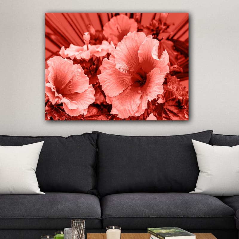 Canvastavla 70x100 cm - Vacker komposition av hibiskusblommor i olika nyanser av röd färg - Röd / Ljusrosa - Inredning - Tavlor & posters - Canvastavla