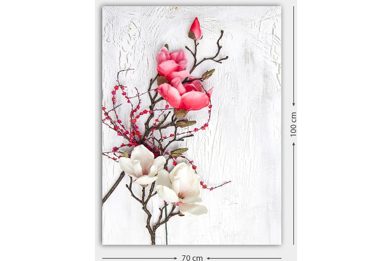 Canvastavla 70x100 cm - Vacker komposition av magnoliablommor i rosa och vitt på en subtil bakgrund - Rosa / Vit / Grön - Inredning - Tavlor & posters - Canvastavla