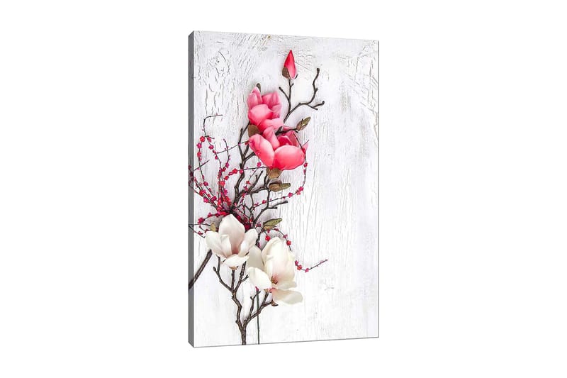 Canvastavla 70x100 cm - Vacker komposition av magnoliablommor i rosa och vitt på en subtil bakgrund, Rosa / Vit / Grön