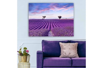 Canvastavla 70x100 cm - Vacker lavendelfält med mjuka, vågiga rader av lavendelblommor under en klar himmel - Lila / Grön / Blå - Inredning - Tavlor & posters - Canvastavla
