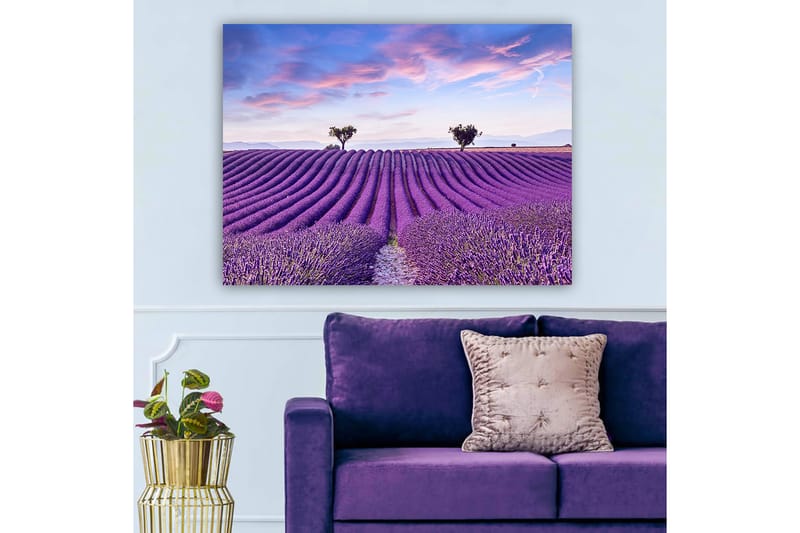 Canvastavla 70x100 cm - Vacker lavendelfält med mjuka, vågiga rader av lavendelblommor under en klar himmel - Lila / Grön / Blå - Inredning - Tavlor & posters - Canvastavla